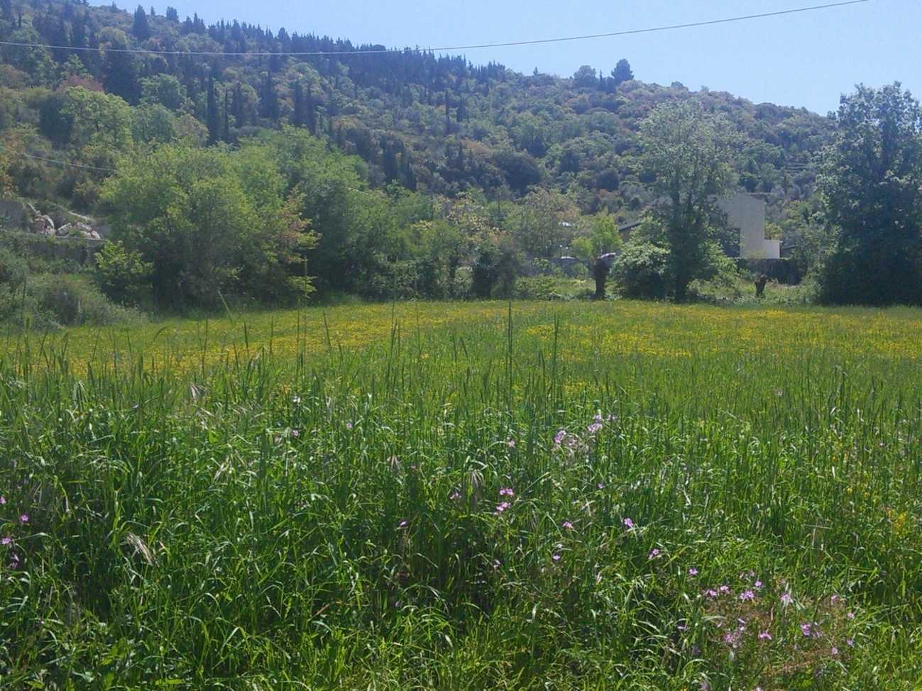 Very nice little land for sale in the city plan of Sfakiotes village