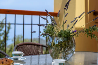 Villa Odysseus-luxury and comfortable villa!