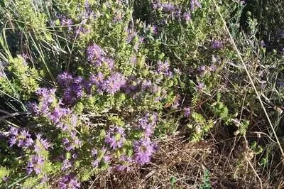 Lilium Villa, Luxury Residence, Amazing  View and Unique Sunset