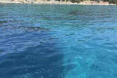 Set Sail in Lefkada – Unique Sailing Cruises for Every Moment!