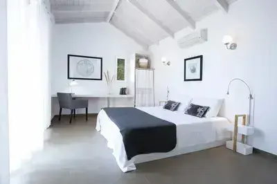 Villa Lefki full of natural light, very spacious villa with infinity pool