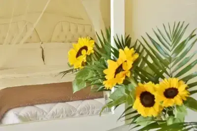 Ionian Star Hotel in Lefkada town