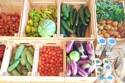 Tasting of vegetables, olive oil and honey in an organic farm!