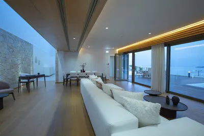 Luxury Villa with infinity Pool & Stunning Ionian Panorama (Θ)