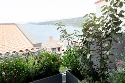 Suite 1 – A Peaceful Hillside Retreat with Partial Gulf Views