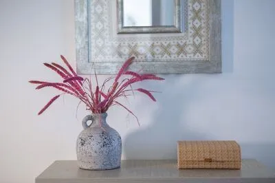Secluded Villa Asprolià with salt water pool & large garden, close to town.