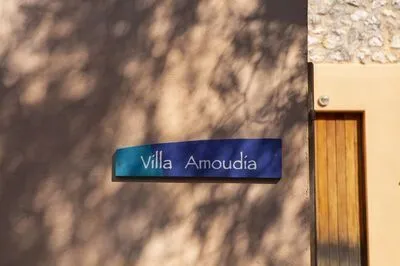 Villa Amoudia - Luxury Villa right on the beach with Private Pool