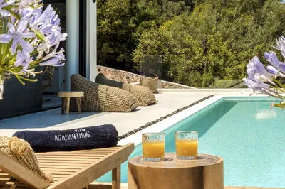 Villa Agapanthus with sea view in Nikiana