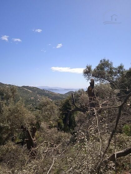Prime 4200 sq.m land for sale in scenic Sivota in Lefkada island Main photo of the rental