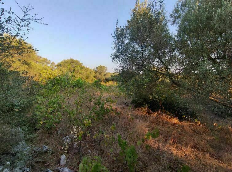 Attractive Plot of Land for Sale in Tsoukalades Main photo of the rental
