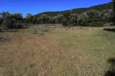 plot for sale in Athani