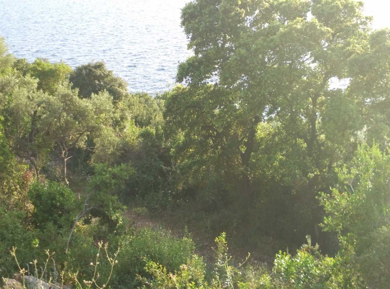 Amazing plot for investment next to one of the best beaches in Mediterranea Main photo of the rental