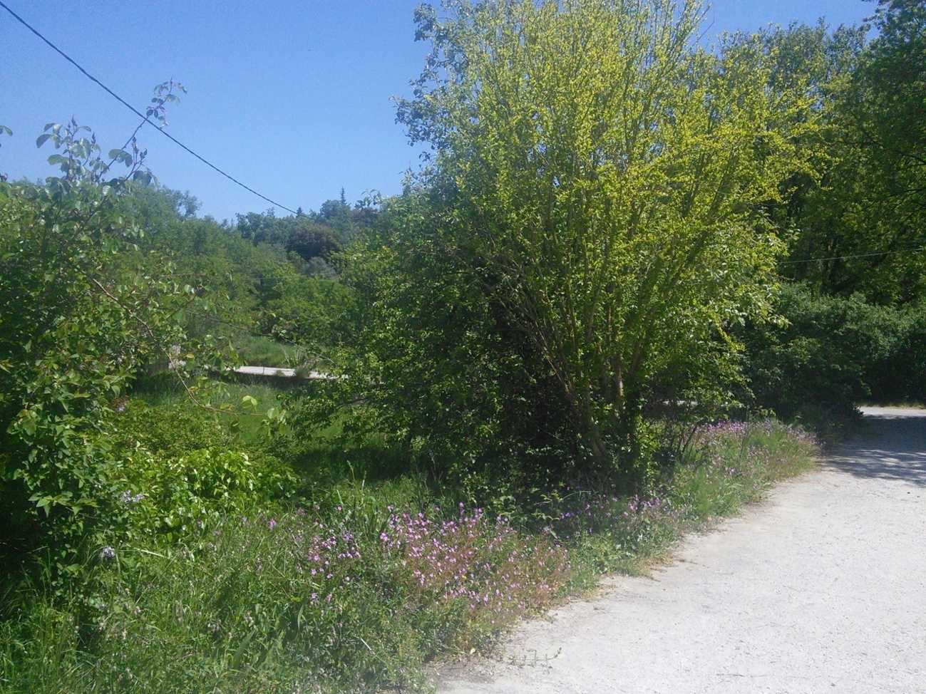 Very nice little land for sale in the city plan of Sfakiotes village Main photo of the rental